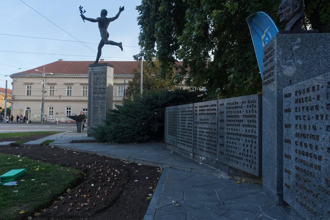 FOTO: Košice sa na jar premenia na Holandsko, foto 6