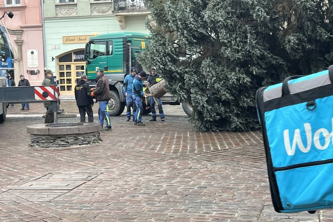 Vianočný stromček dorazil na Hlavnú, foto 5