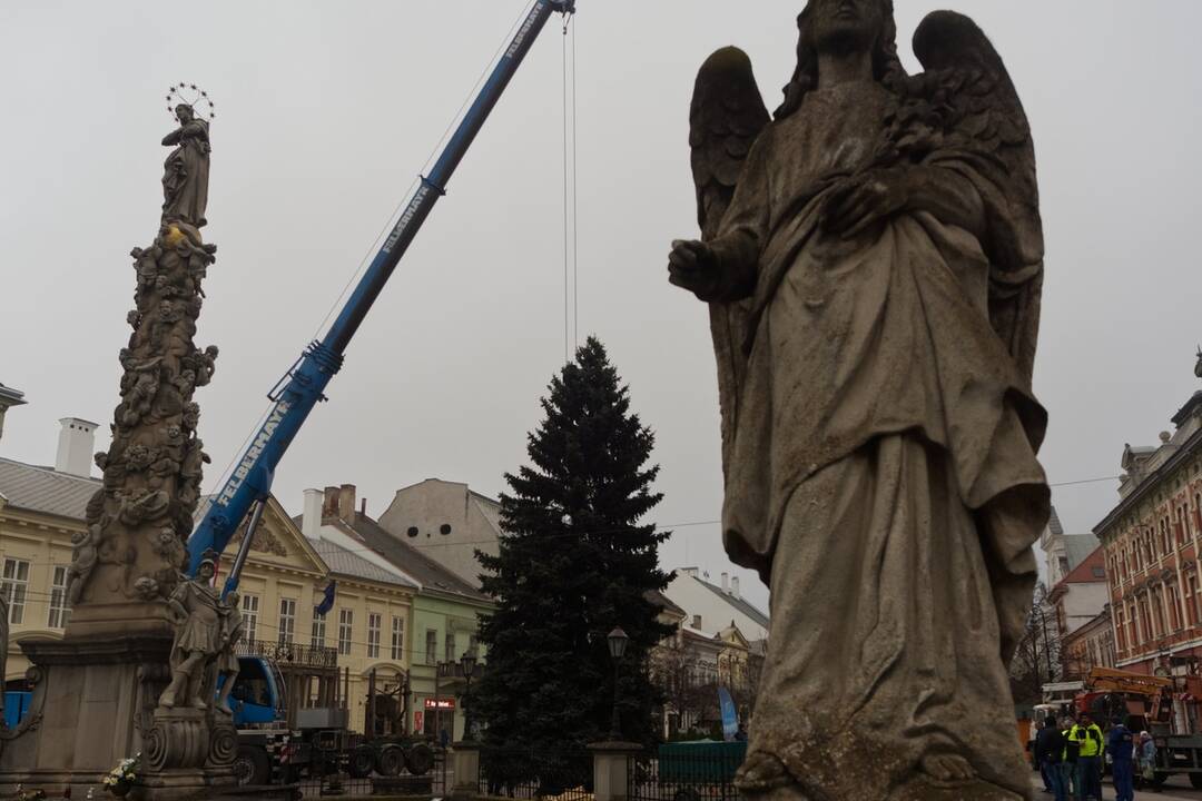 Vianočný stromček dorazil na Hlavnú, foto 13
