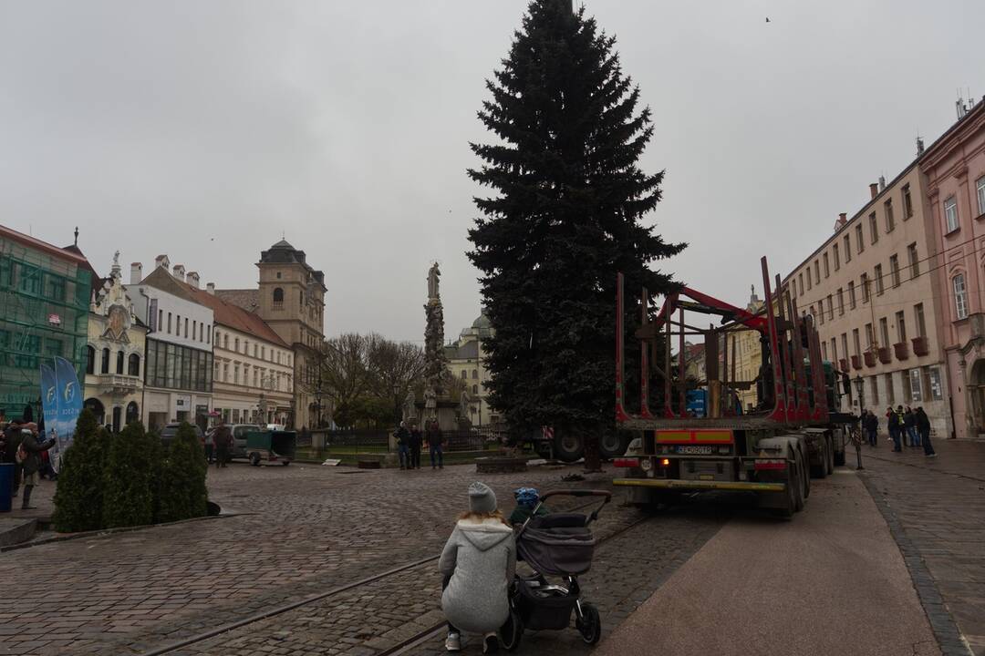 Vianočný stromček dorazil na Hlavnú, foto 15