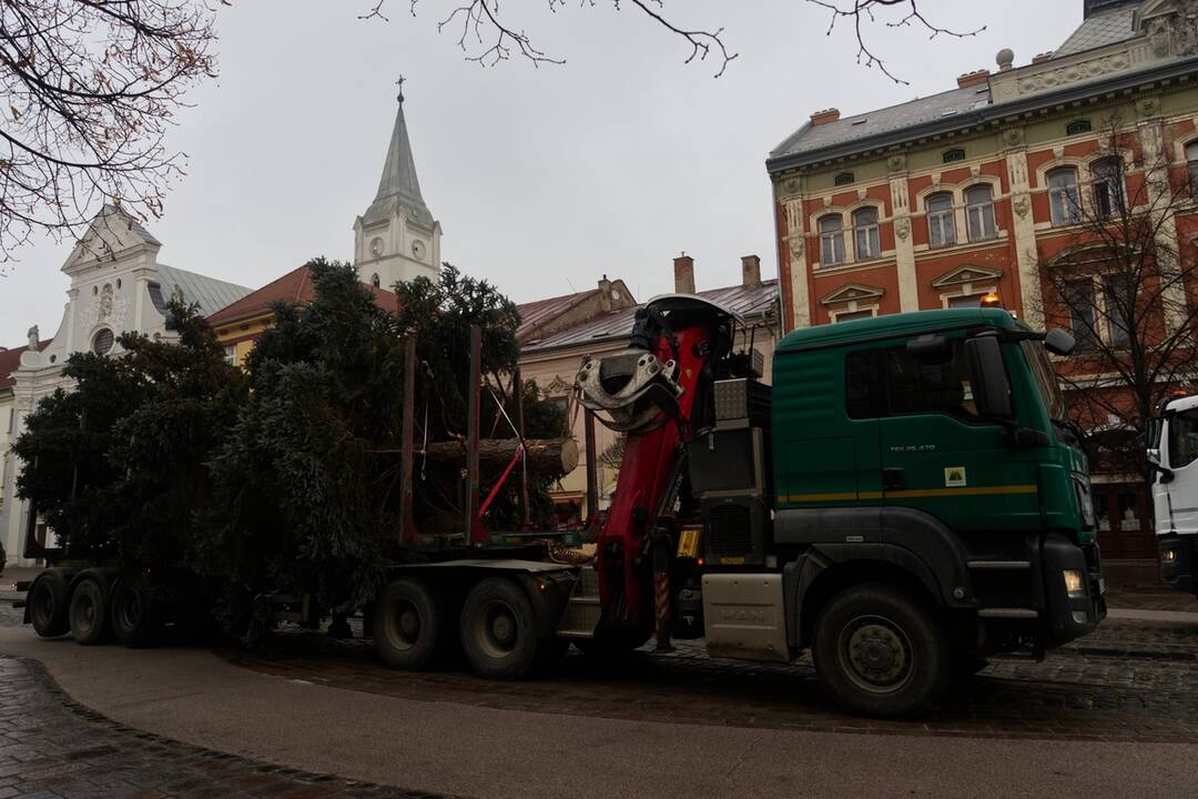 Vianočný stromček dorazil na Hlavnú, foto 20