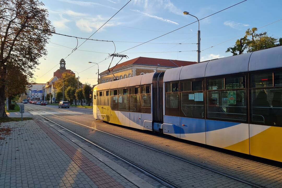 Oceňovanie víťazov fotosúťaže aj výtvarnej súťaže, foto 11