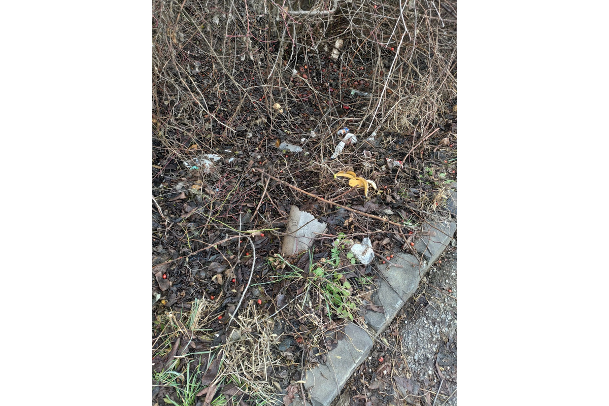 FOTO: Neporiadok okolo autobusovej zastávky na Kalvárii, foto 2