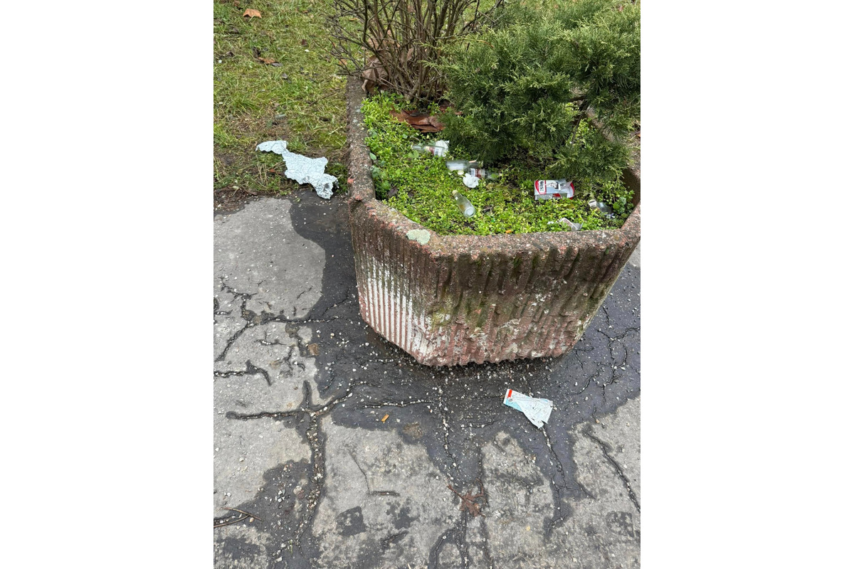 Po sídlisku sa im povaľovali odpadky, sídlisko už začalo konať, foto 4