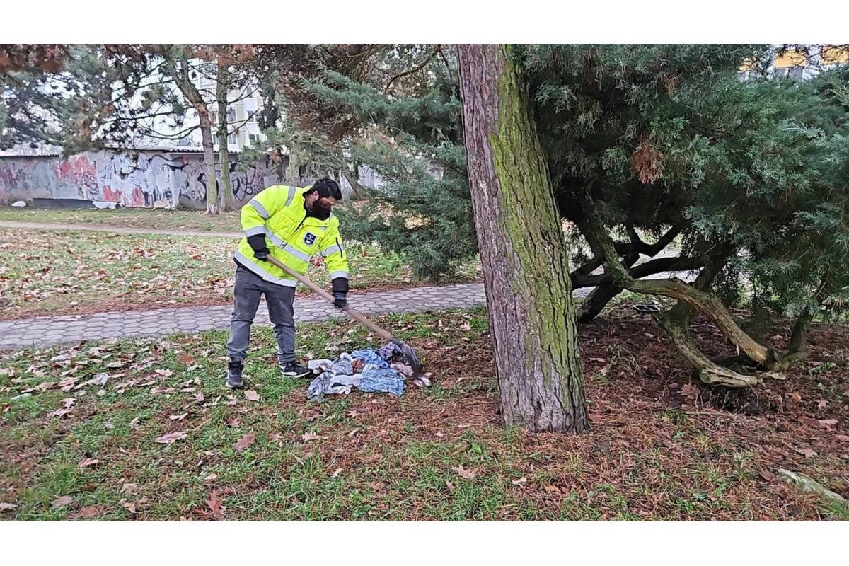 Po sídlisku sa im povaľovali odpadky, sídlisko už začalo konať, foto 6