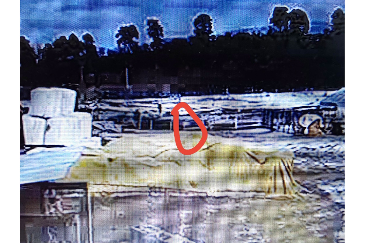 FOTO: Svorka psov strhla na východe Slovenska zvieratá, foto 10