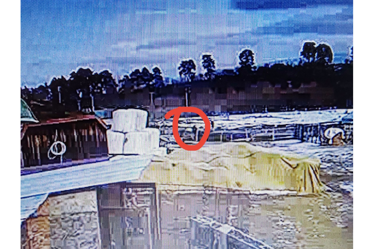 FOTO: Svorka psov strhla na východe Slovenska zvieratá, foto 11