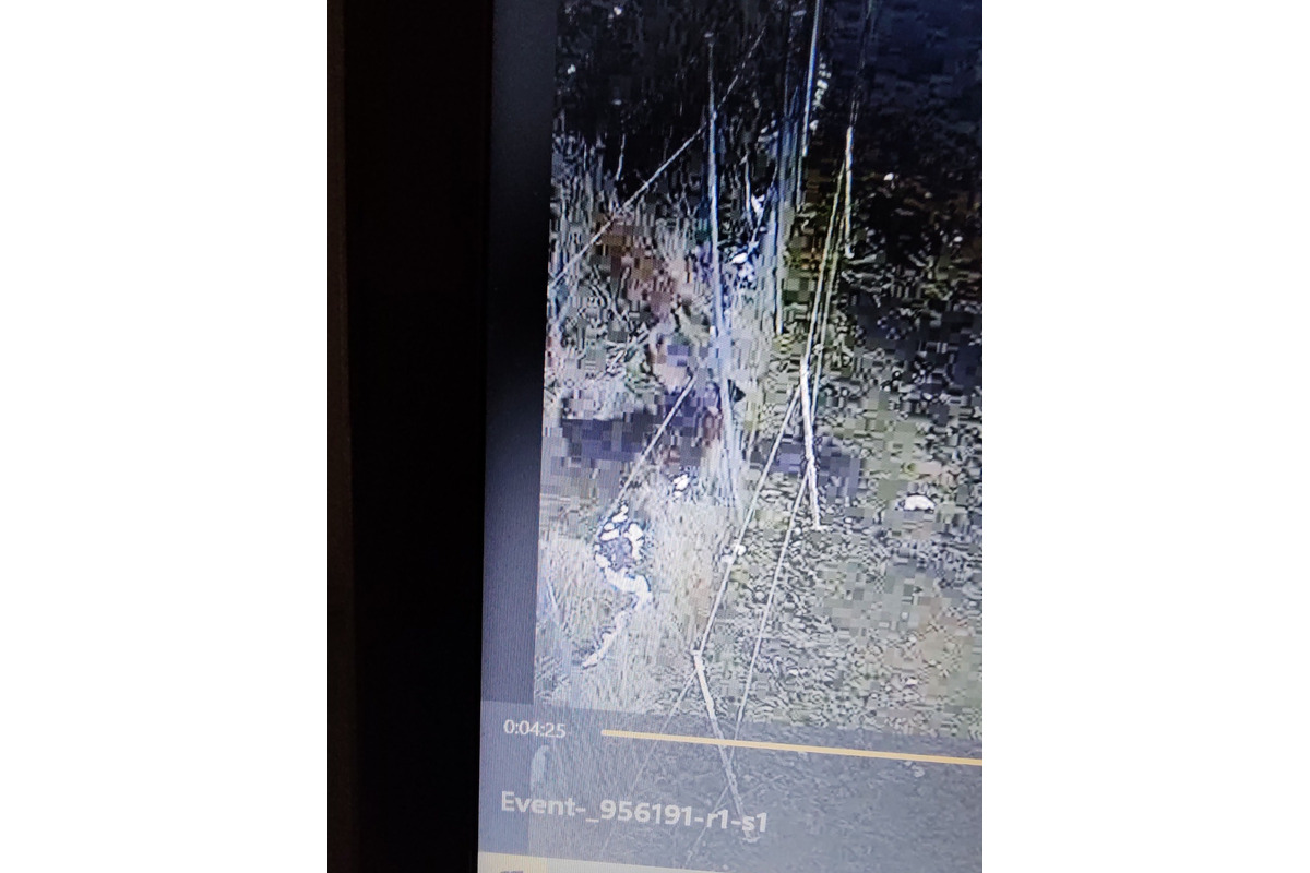 FOTO: Svorka psov strhla na východe Slovenska zvieratá, foto 13