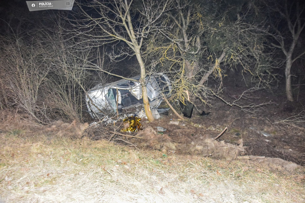 FOTO: Tragická nehoda pri Nižnej Hutke, z auta nezostalo skoro nič, foto 4