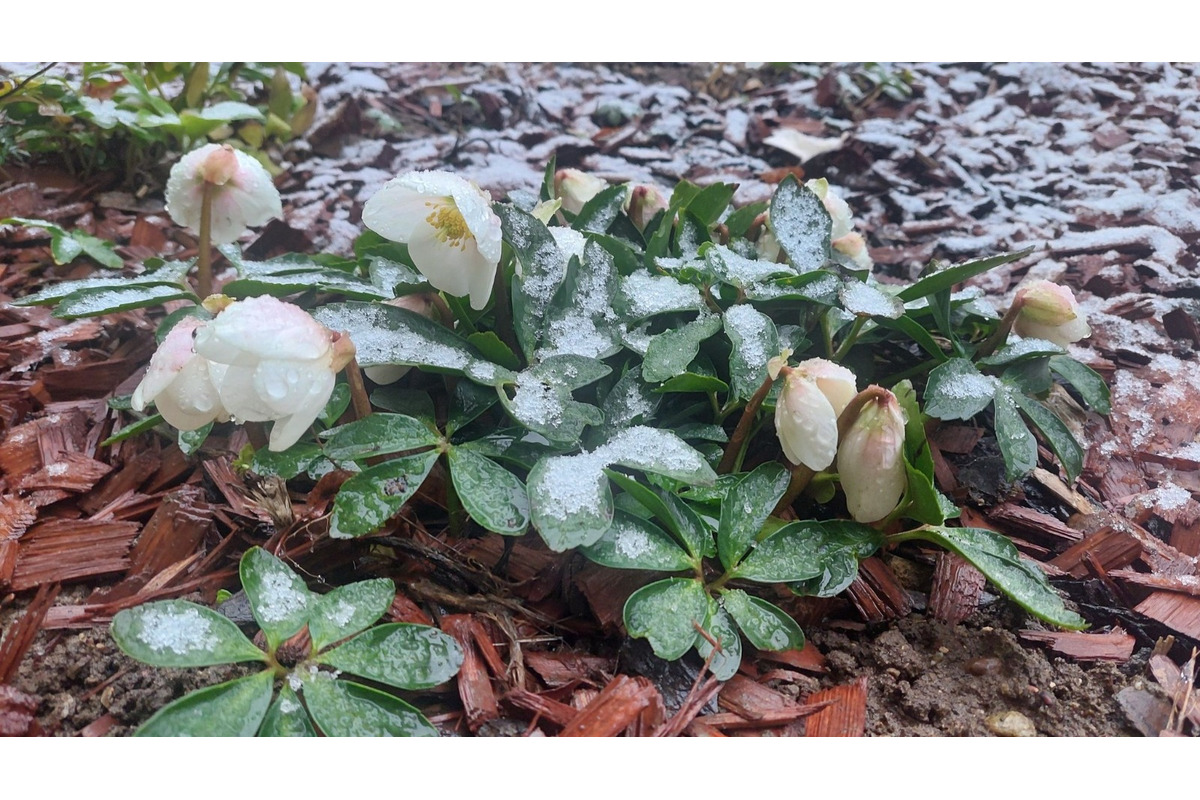 FOTO: Takto vyzerali zimné februárové dni na Jazere, počasie prialo otužilcom aj fanúšikom jari, foto 25