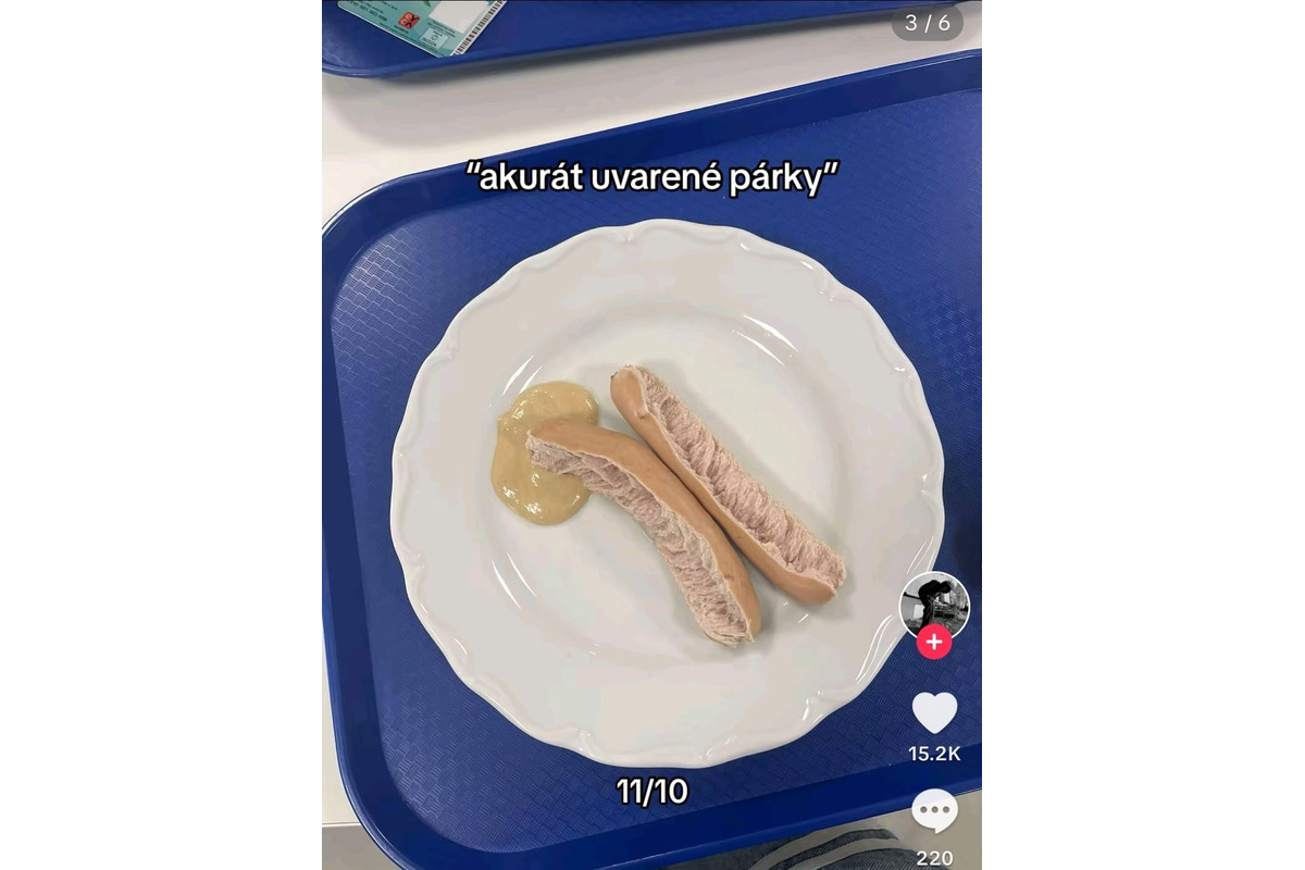 FOTO: Hrôzostrašné školské obedy. Toto dávajú deťom slovenské školy?, foto 11