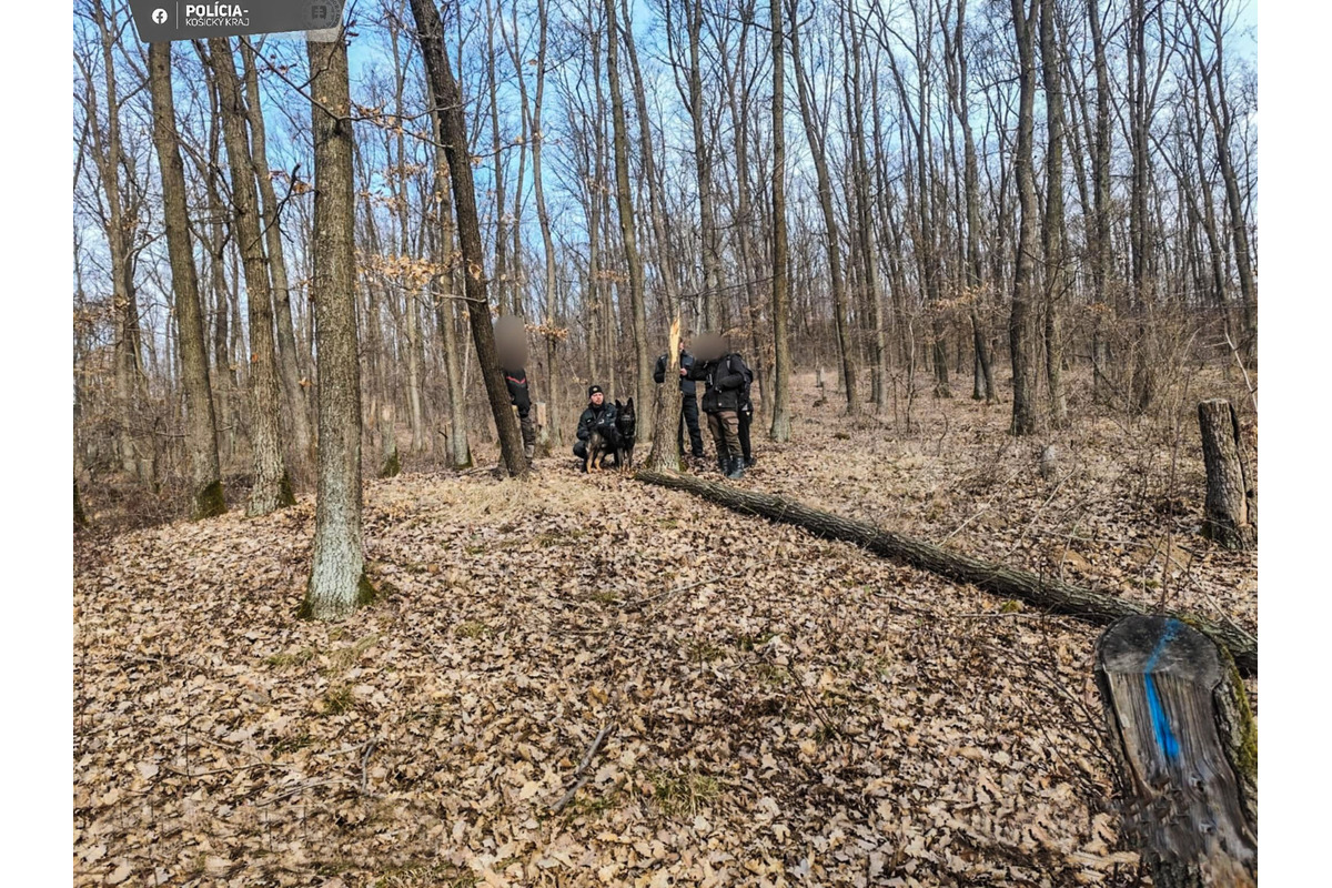 Polícia si počkala v lese na miestnych drevorubačov, foto 4