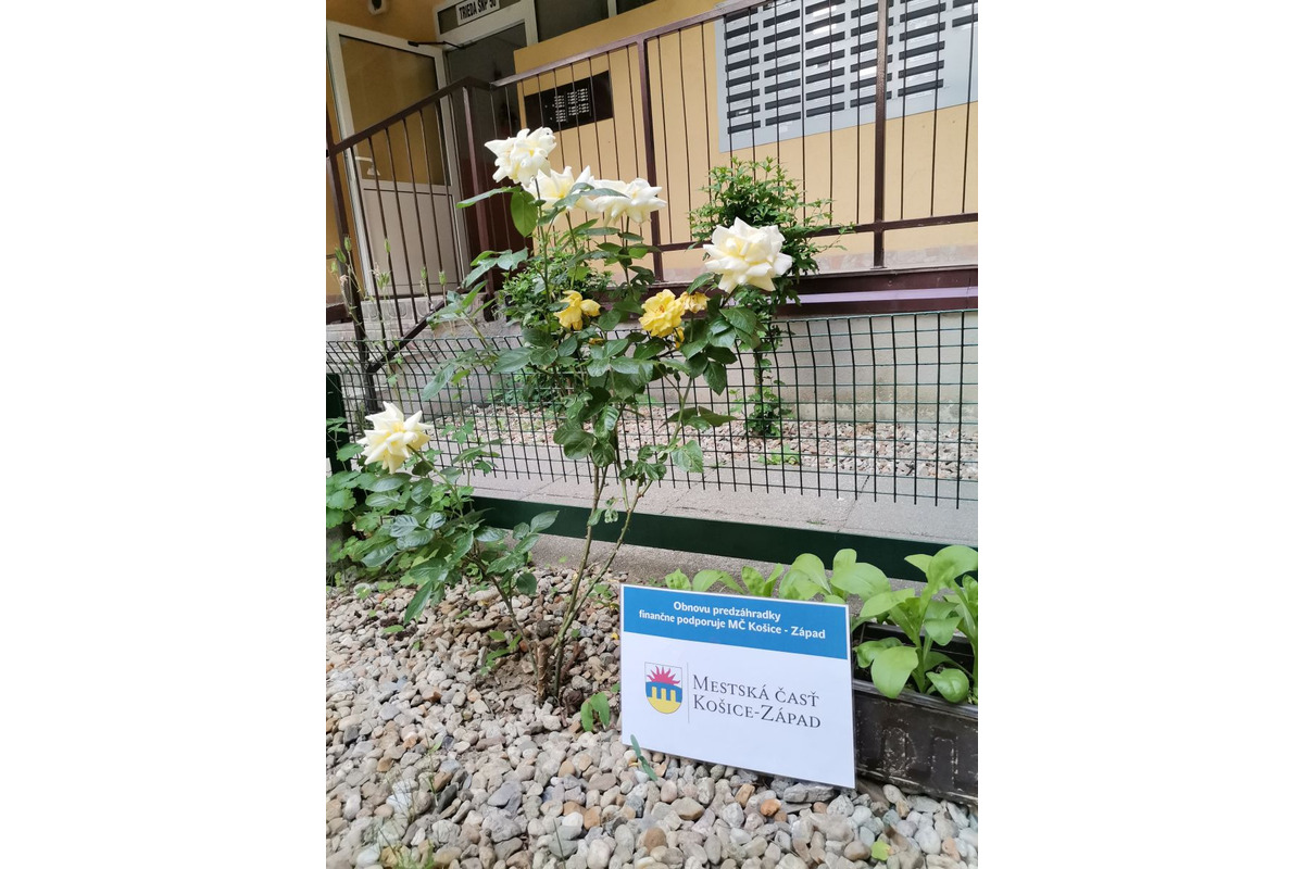Mestská časť poskytne obyvateľom príspevok na skrášlenie okolia panelákov, foto 3