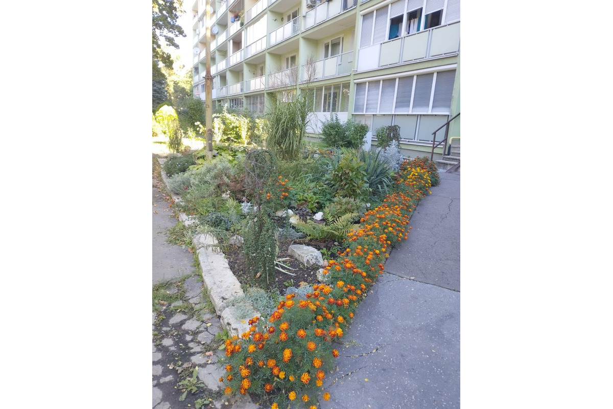 Mestská časť poskytne obyvateľom príspevok na skrášlenie okolia panelákov, foto 4