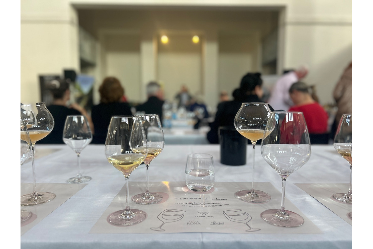 FOTO: Nevinne o víne v Žiline, foto 2