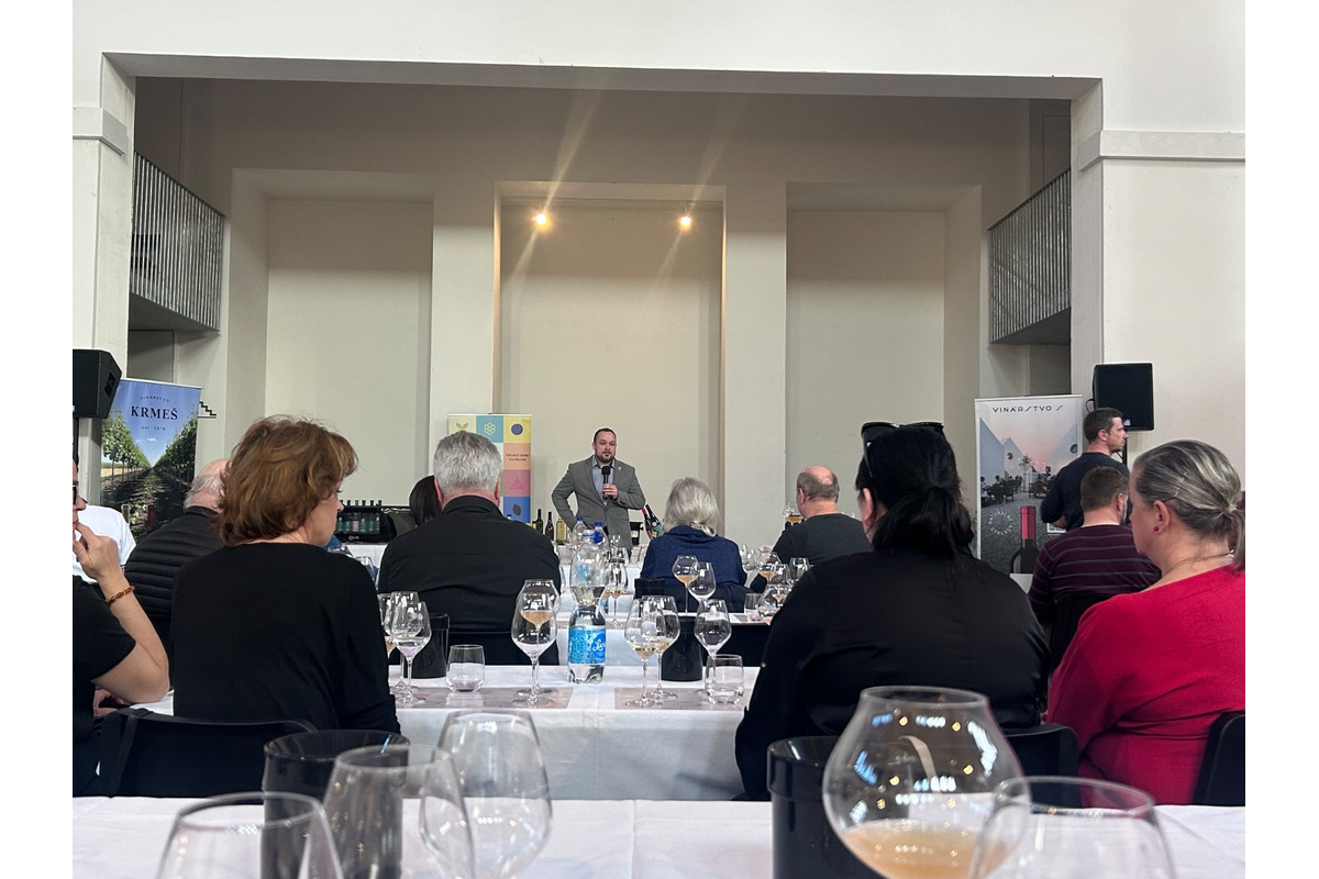 FOTO: Nevinne o víne v Žiline, foto 5