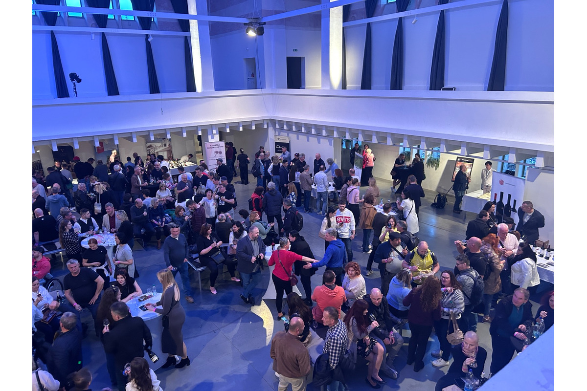 FOTO: Nevinne o víne v Žiline, foto 6