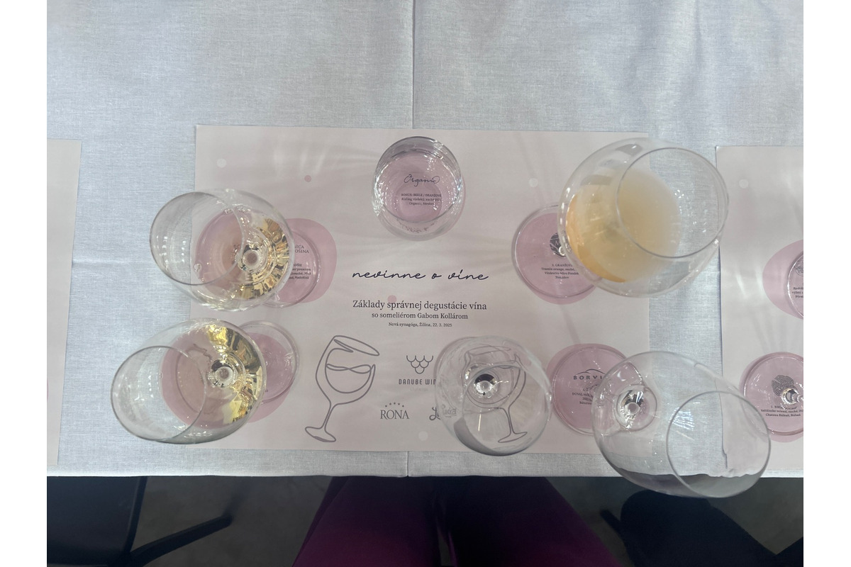 FOTO: Nevinne o víne v Žiline, foto 7