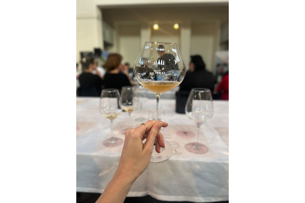 FOTO: Nevinne o víne v Žiline, foto 9