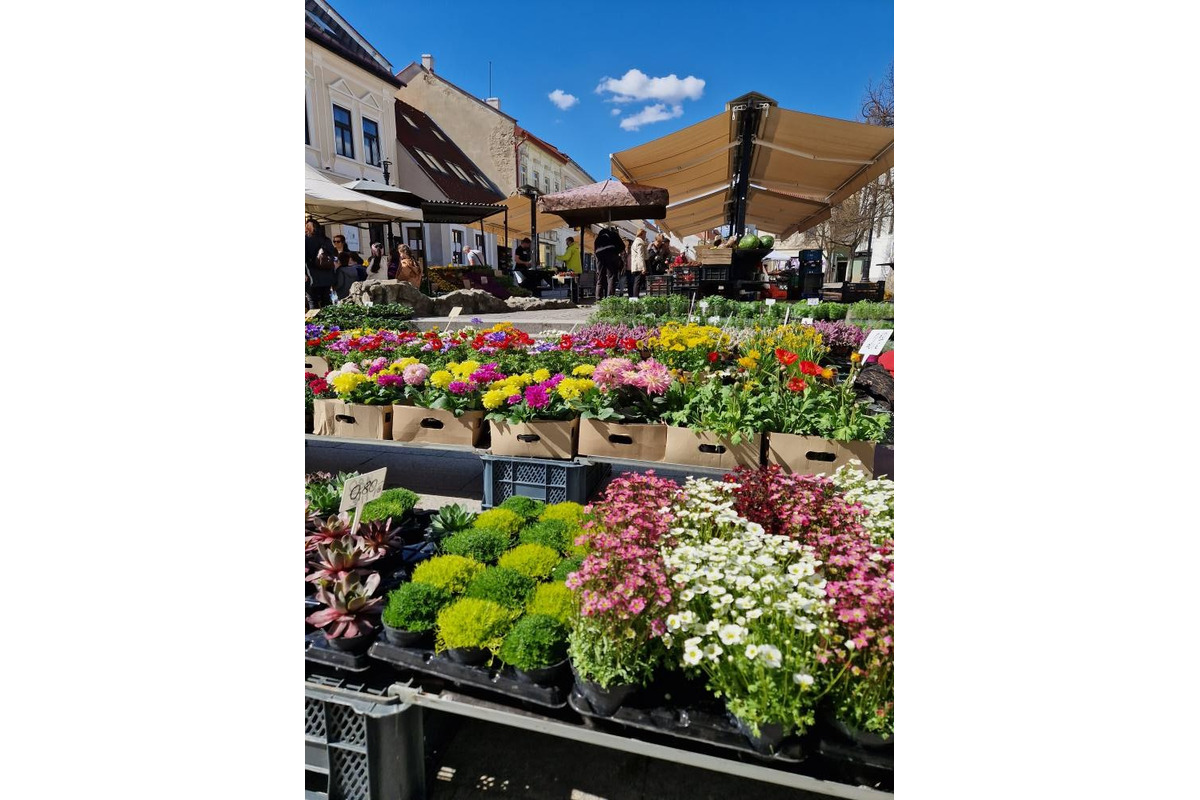 FOTO: Dominikánske námestie ožilo farbami, predajcovia vás vybavia na Veľkú noc, foto 2