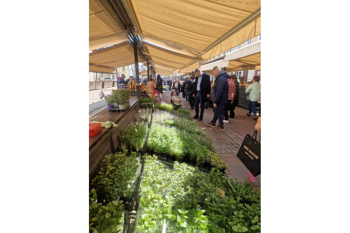 FOTO: Dominikánske námestie ožilo farbami, predajcovia vás vybavia na Veľkú noc, foto 6