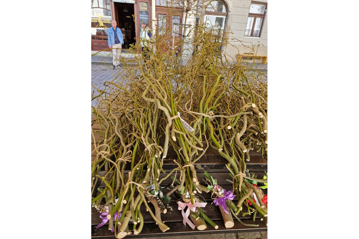 FOTO: Dominikánske námestie ožilo farbami, predajcovia vás vybavia na Veľkú noc, foto 7