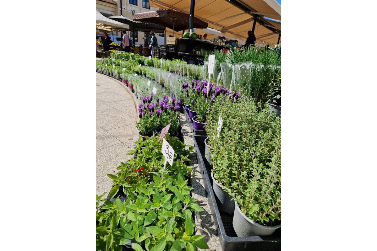 FOTO: Dominikánske námestie ožilo farbami, predajcovia vás vybavia na Veľkú noc, foto 12