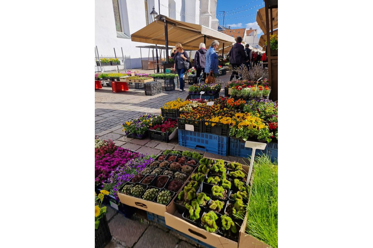 FOTO: Dominikánske námestie ožilo farbami, predajcovia vás vybavia na Veľkú noc, foto 11