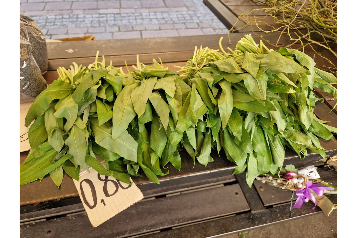 FOTO: Dominikánske námestie ožilo farbami, predajcovia vás vybavia na Veľkú noc, foto 16