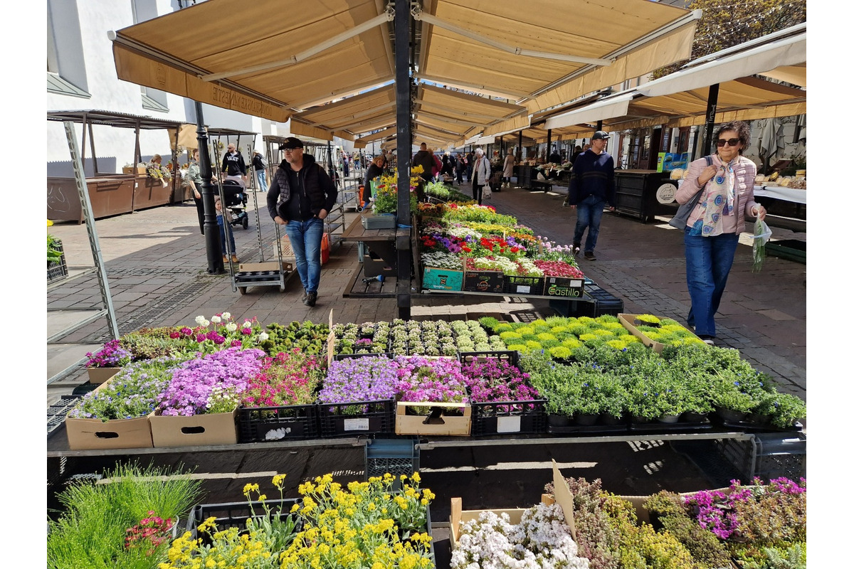 FOTO: Dominikánske námestie ožilo farbami, predajcovia vás vybavia na Veľkú noc, foto 20