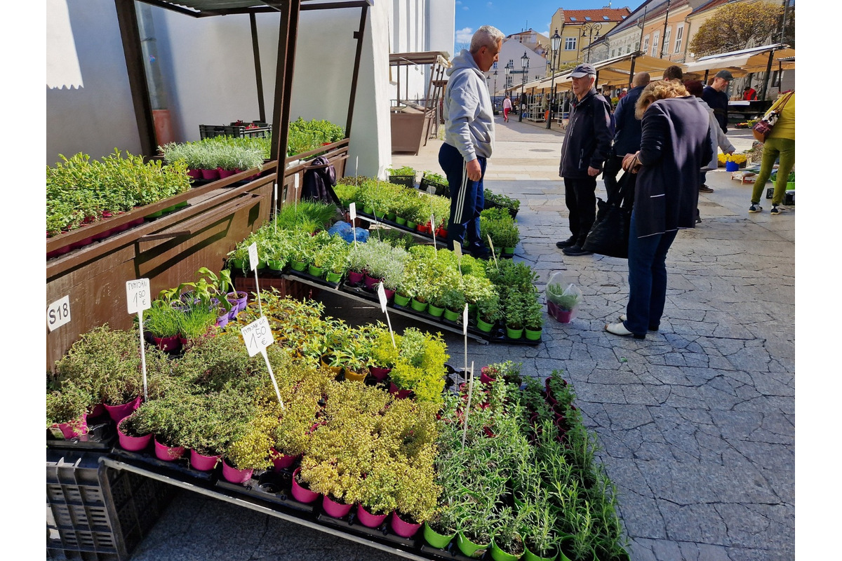 FOTO: Dominikánske námestie ožilo farbami, predajcovia vás vybavia na Veľkú noc, foto 21