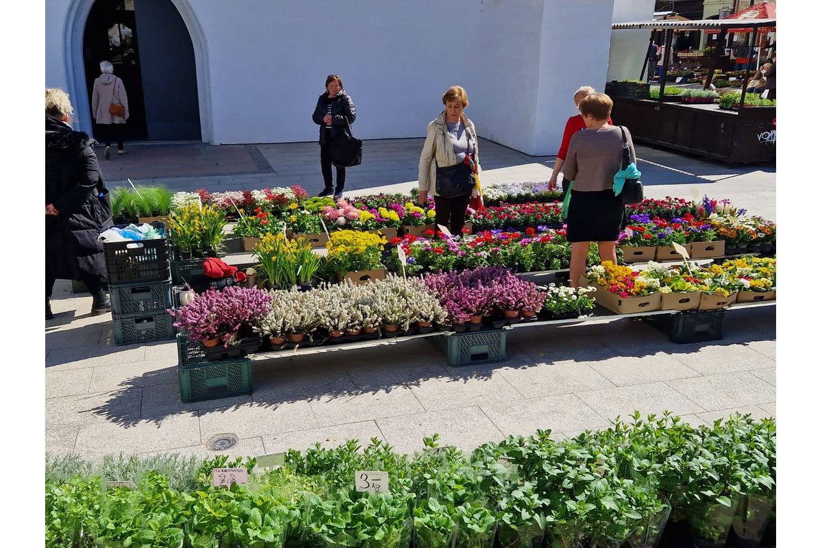 FOTO: Dominikánske námestie ožilo farbami, predajcovia vás vybavia na Veľkú noc, foto 4