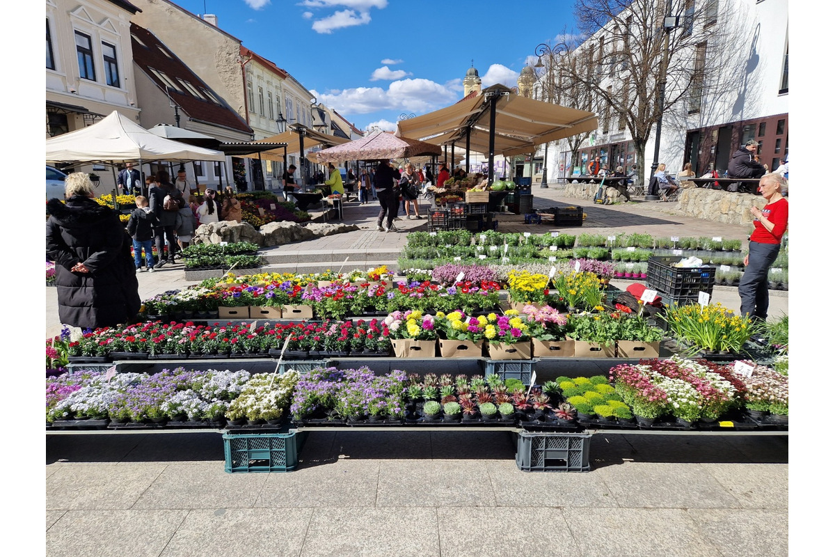 FOTO: Dominikánske námestie ožilo farbami, predajcovia vás vybavia na Veľkú noc, foto 23