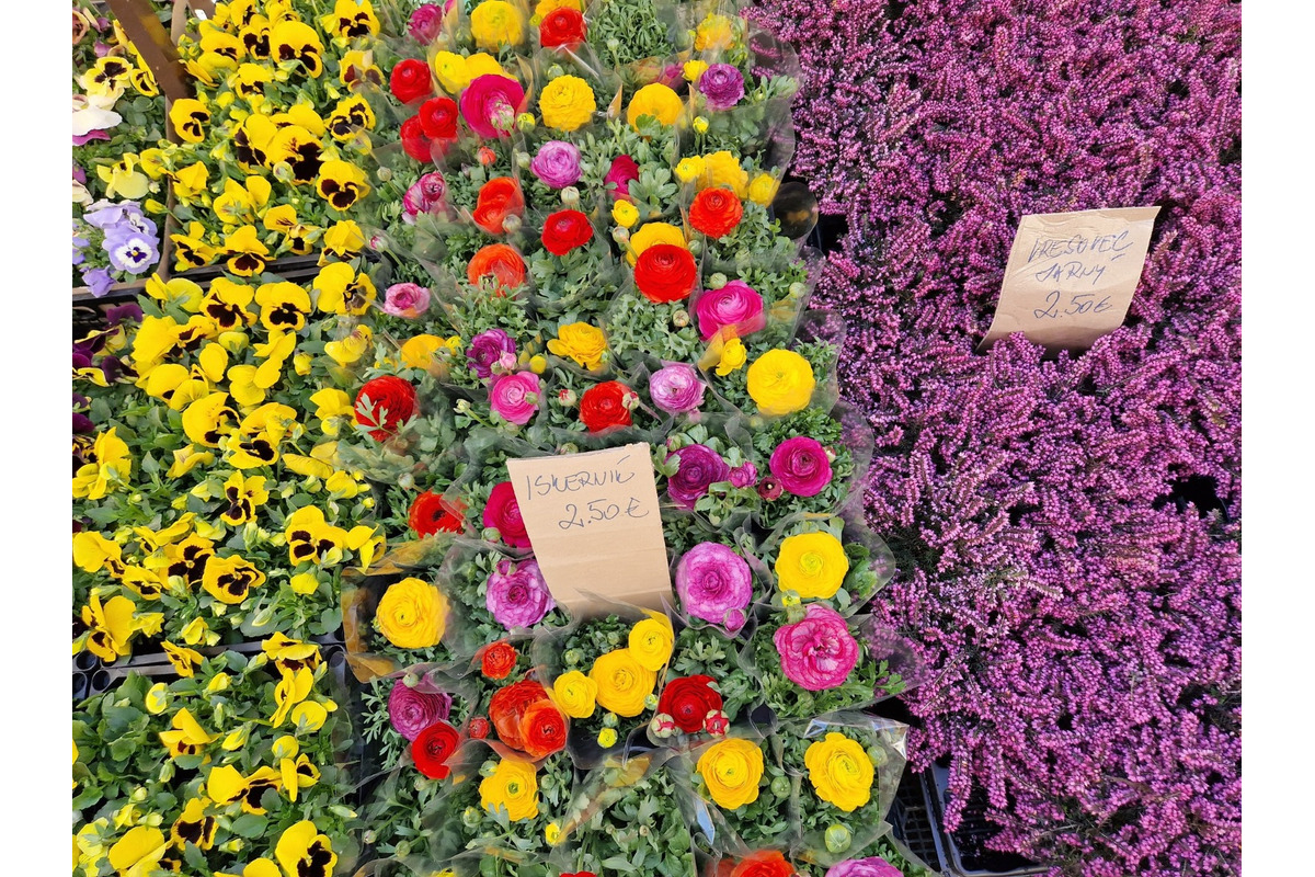 FOTO: Dominikánske námestie ožilo farbami, predajcovia vás vybavia na Veľkú noc, foto 5