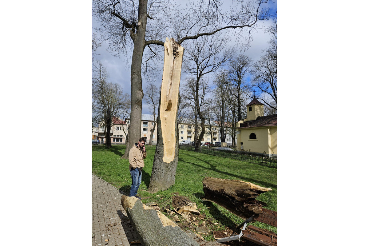 FOTO: Počasie v Michalovciach je naozaj nepriaznivé. Vietor tam láme konáre a stromy, foto 2