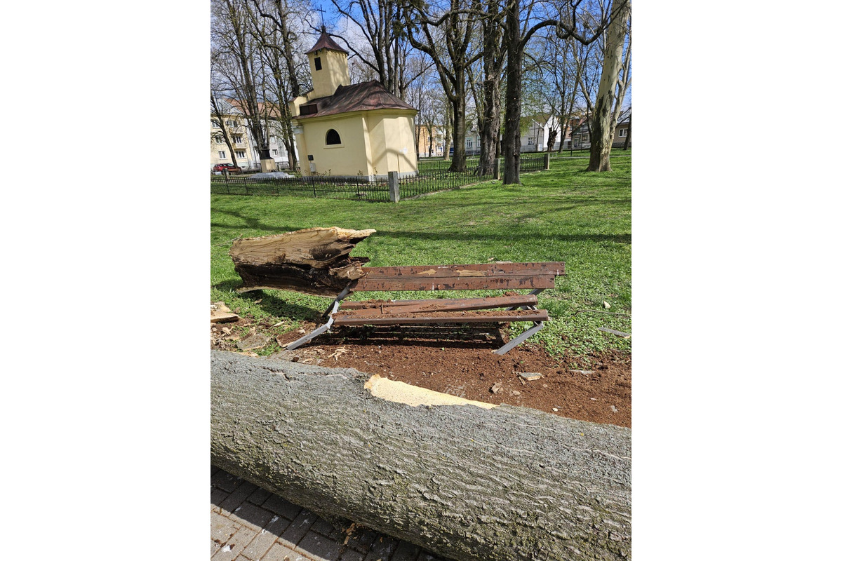 FOTO: Počasie v Michalovciach je naozaj nepriaznivé. Vietor tam láme konáre a stromy, foto 3