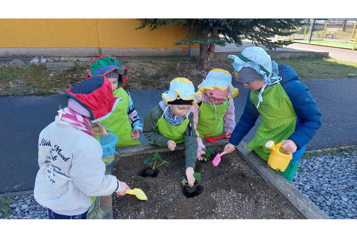 Deti si spolu posadili ovocie a zeleninu, pribudol aj bylinkový záhon, foto 2
