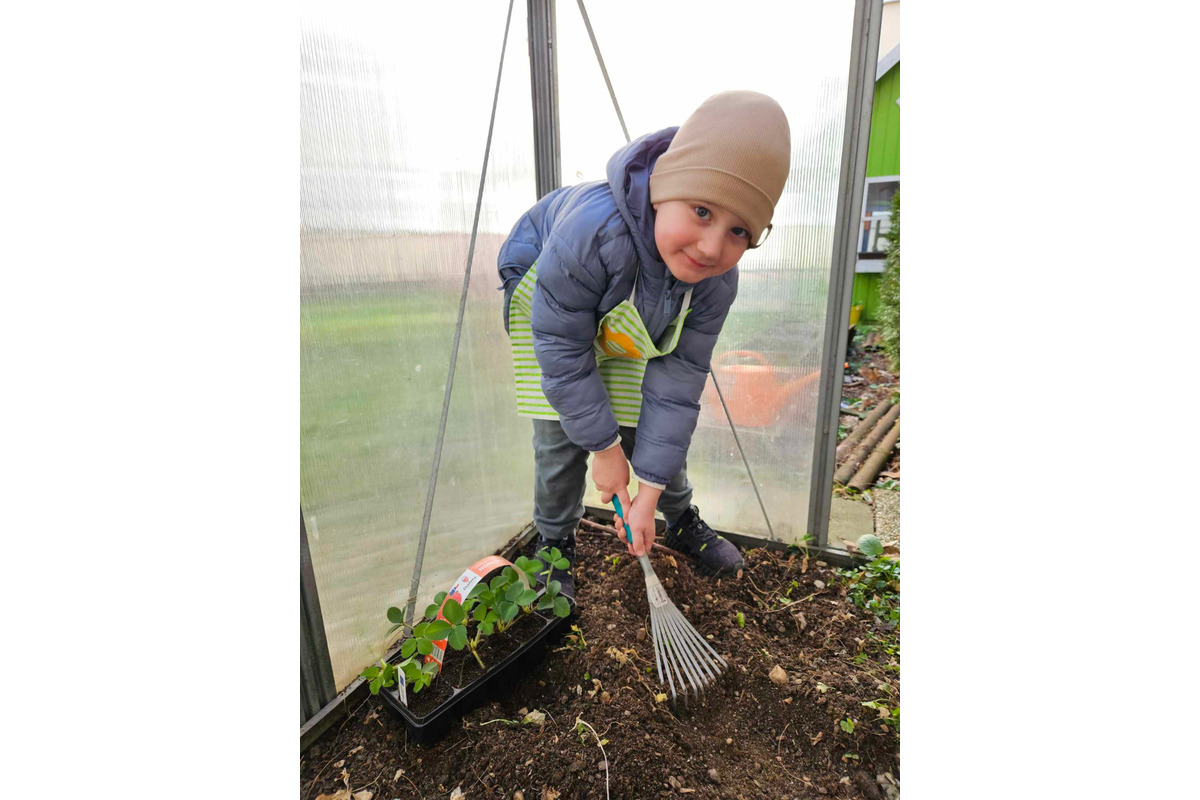 Deti si spolu posadili ovocie a zeleninu, pribudol aj bylinkový záhon, foto 3