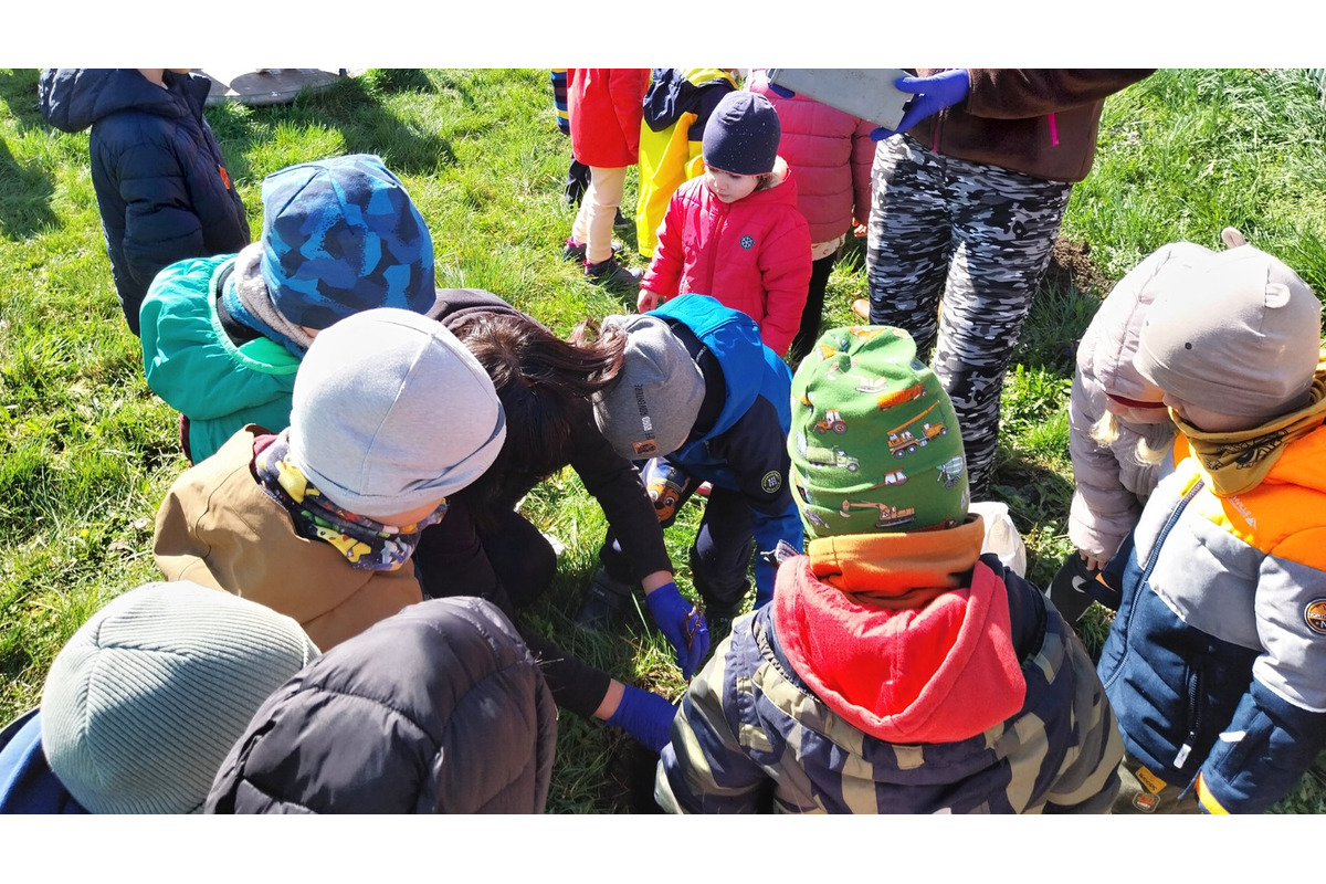 Deti si spolu posadili ovocie a zeleninu, pribudol aj bylinkový záhon, foto 5