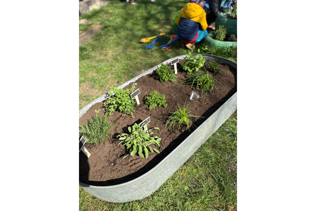 Deti si spolu posadili ovocie a zeleninu, pribudol aj bylinkový záhon, foto 6