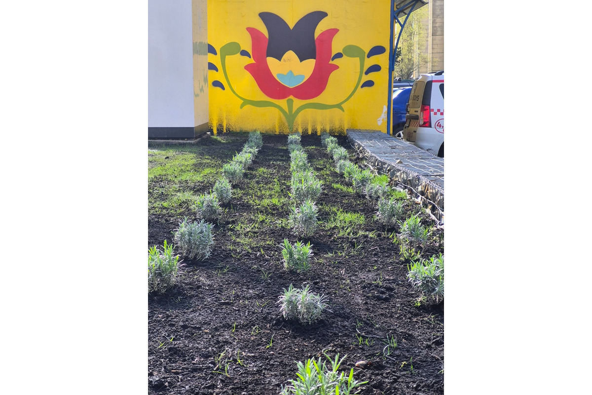 FOTO: Zo zastávky na sídlisku Ťahanovce niekto ukradol levandule, foto 2