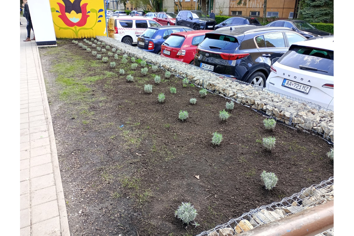 FOTO: Zo zastávky na sídlisku Ťahanovce niekto ukradol levandule, foto 6