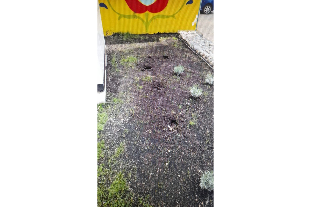 FOTO: Zo zastávky na sídlisku Ťahanovce niekto ukradol levandule, foto 7