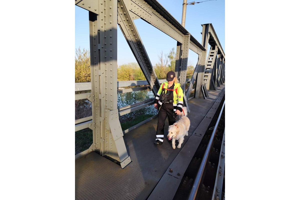 FOTO: Pátracia akcia po nezvestnom mužovi v okolí rieky Laborec, foto 2