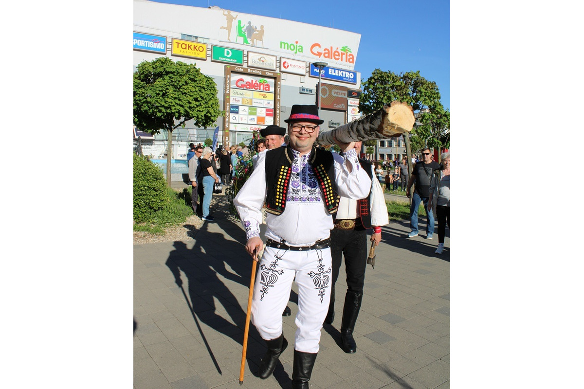 FOTO: Na Terase už stojí prvý zelený máj, vysokú brezu zoťal sám starosta, foto 5