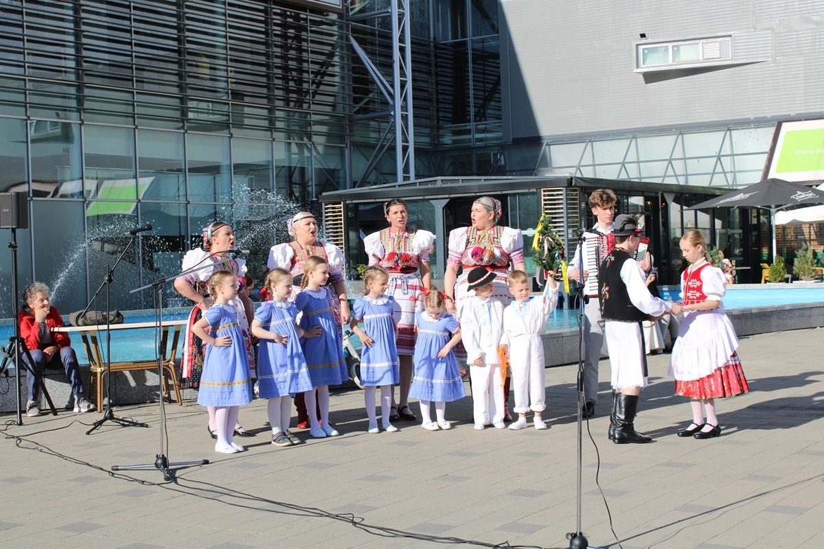FOTO: Na Terase už stojí prvý zelený máj, vysokú brezu zoťal sám starosta, foto 10
