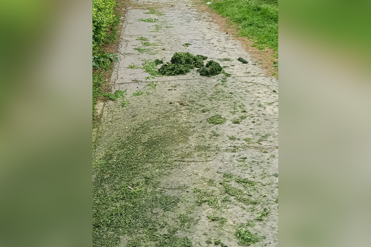 Takto dopadlo kosenie na sídlisku Nad jazerom, foto 1