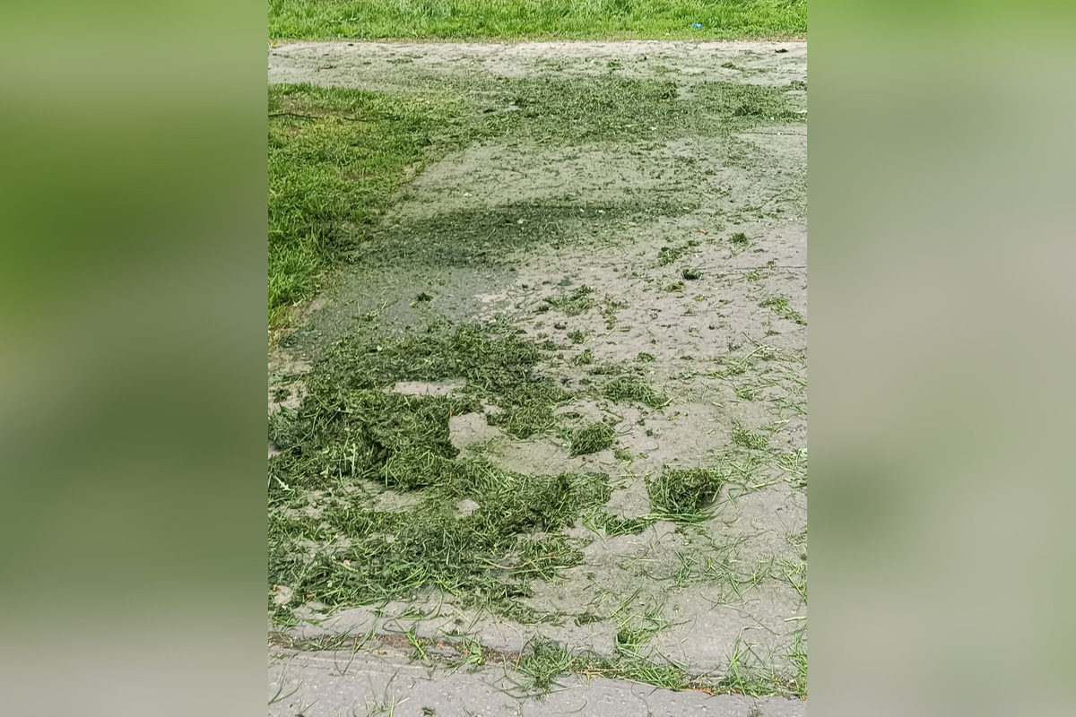 Takto dopadlo kosenie na sídlisku Nad jazerom, foto 3