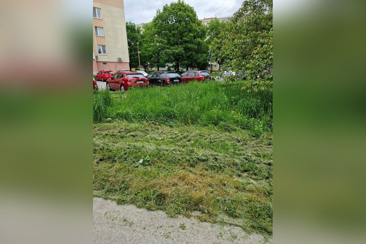 Jazerčania strácajú trpezlivosť s nepokosenou trávou na sídlisku, foto 1