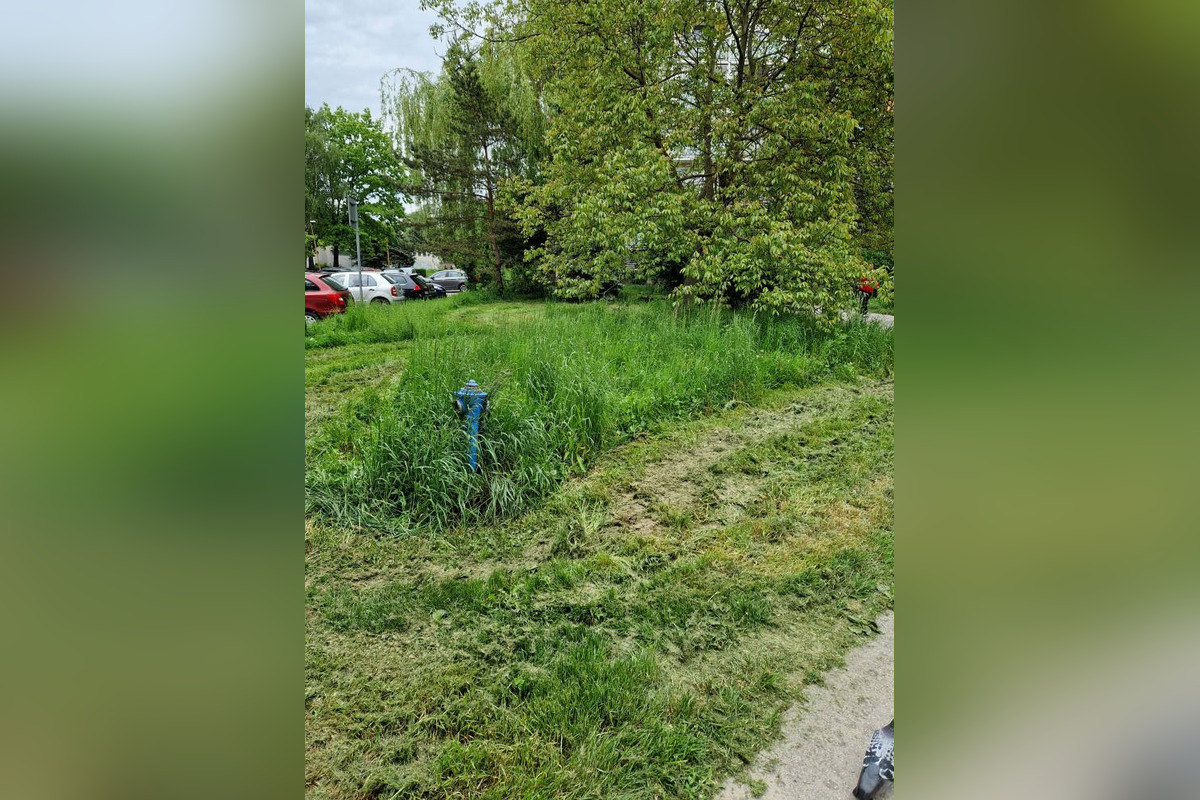 Jazerčania strácajú trpezlivosť s nepokosenou trávou na sídlisku, foto 2